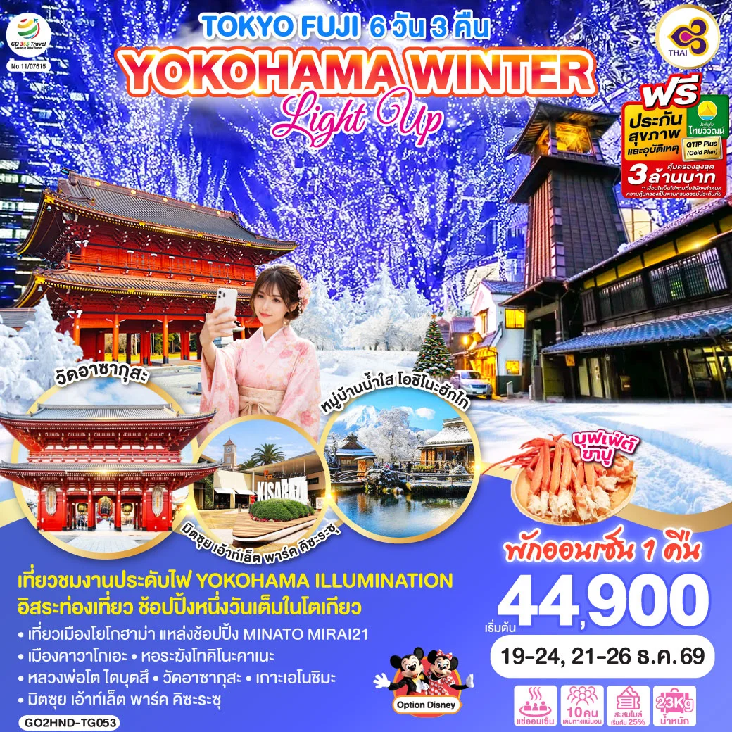 ทัวร์ญี่ปุ่น TOKYO FUJI YOKOHAMA WINTER LIGHT UP 6วัน 3คืน (TG)